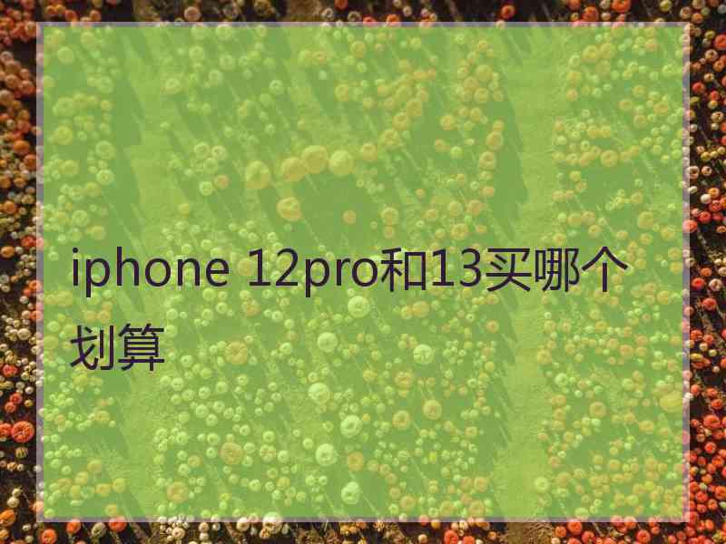 iphone 12pro和13买哪个划算