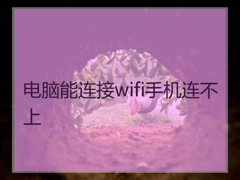 电脑能连接wifi手机连不上