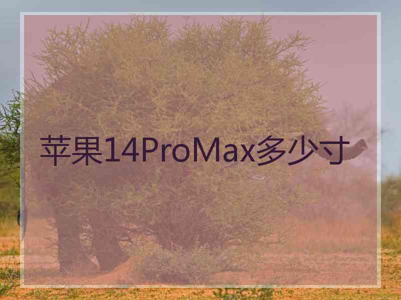 苹果14ProMax多少寸