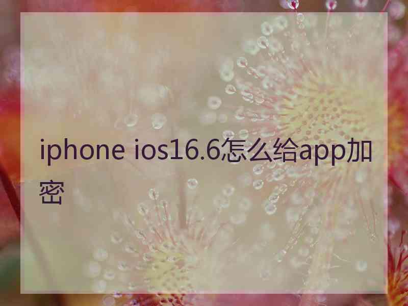 iphone ios16.6怎么给app加密