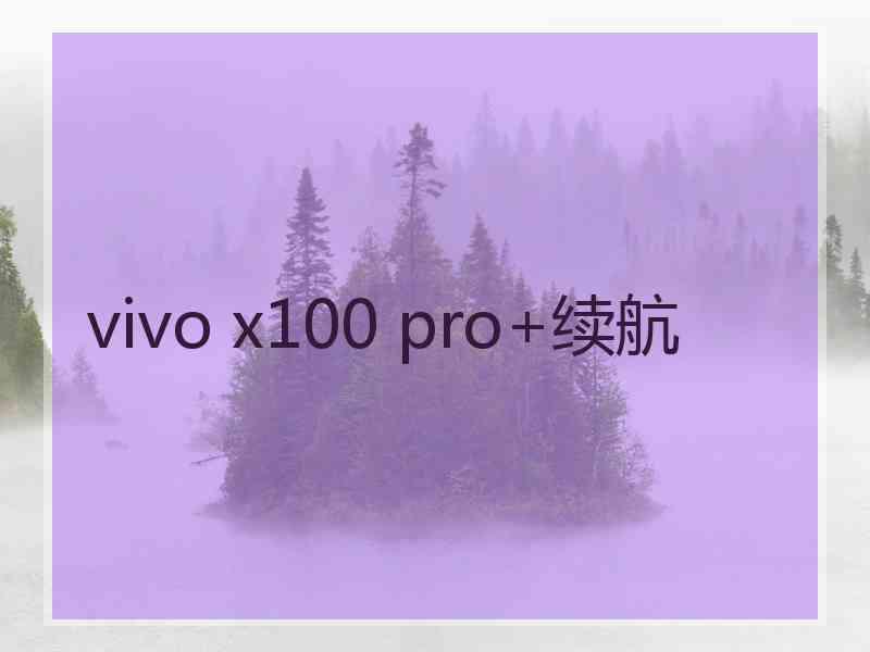 vivo x100 pro+续航