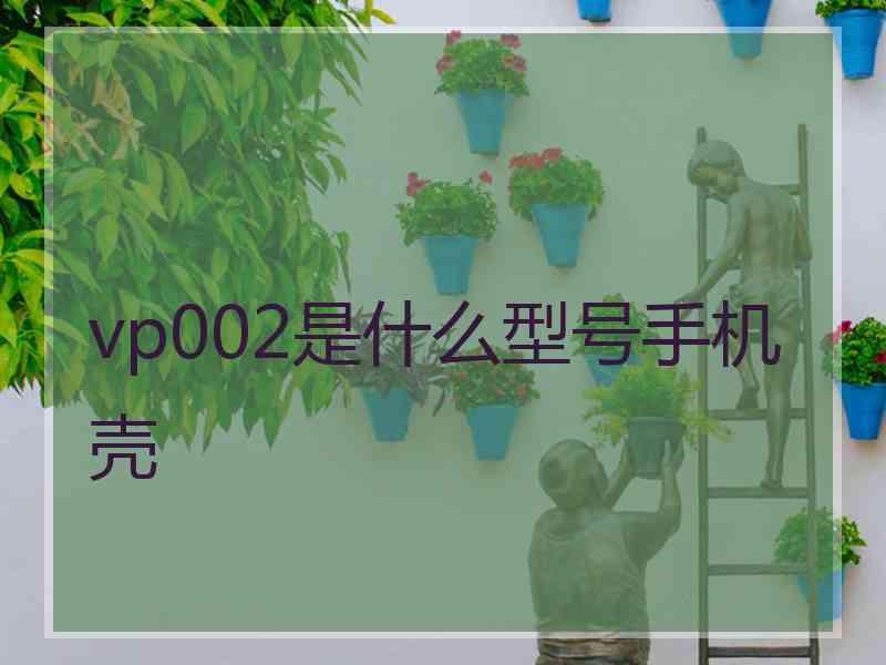 vp002是什么型号手机壳