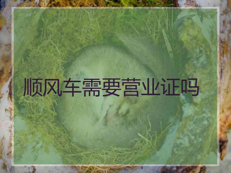 顺风车需要营业证吗