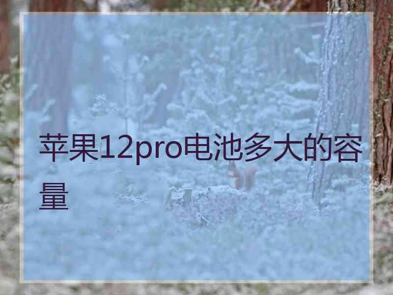 苹果12pro电池多大的容量