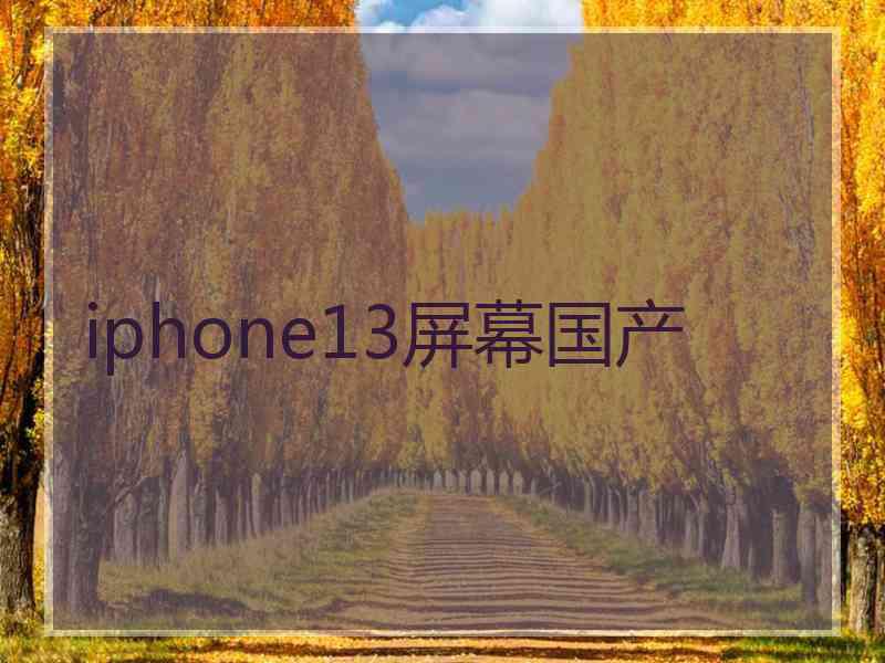 iphone13屏幕国产