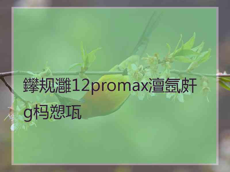 鑻规灉12promax澶氬皯g杩愬瓨