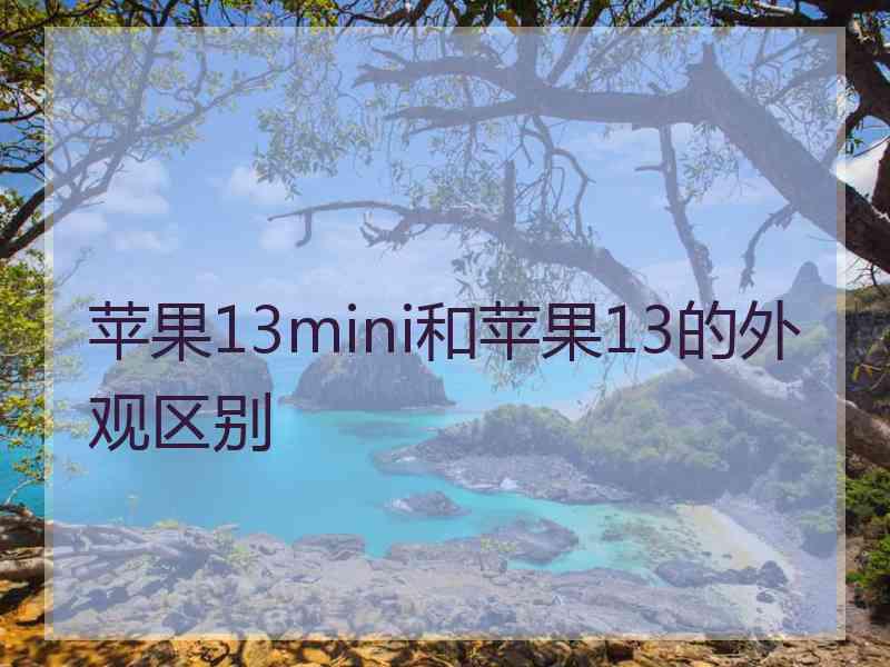 苹果13mini和苹果13的外观区别