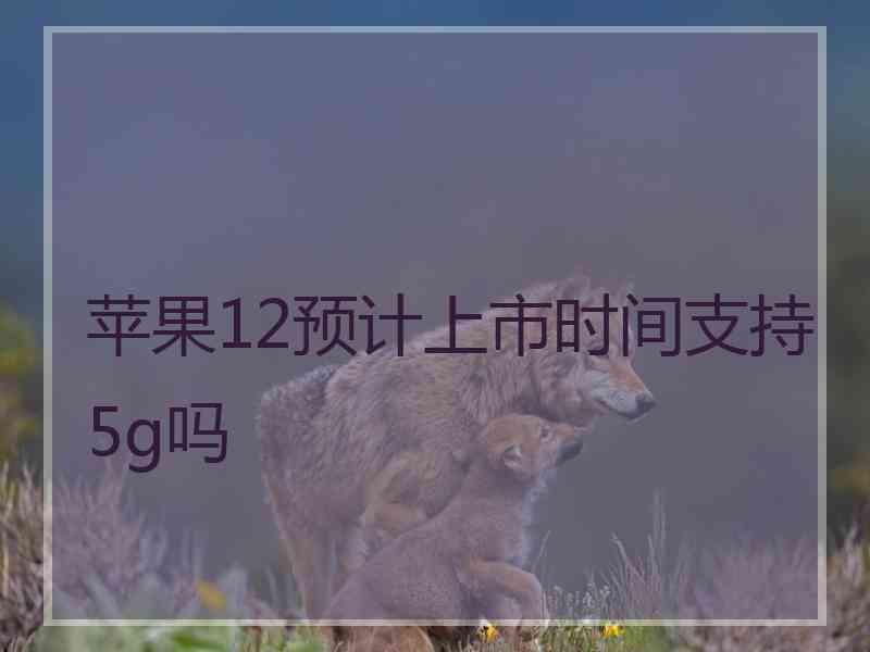 苹果12预计上市时间支持5g吗