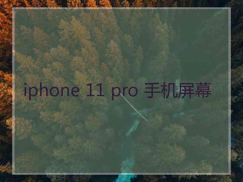 iphone 11 pro 手机屏幕