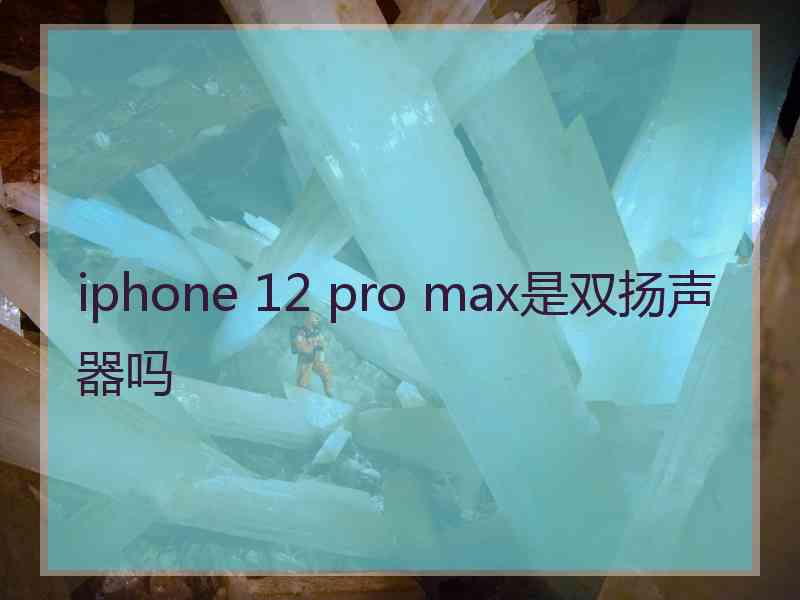 iphone 12 pro max是双扬声器吗