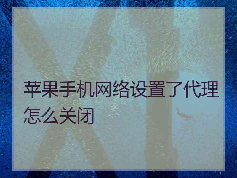 苹果手机网络设置了代理怎么关闭