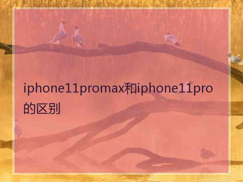 iphone11promax和iphone11pro的区别