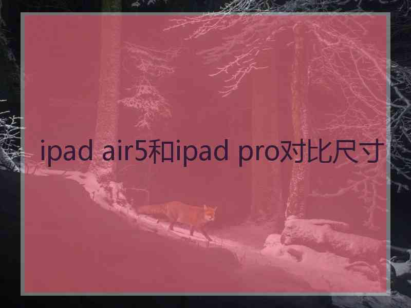 ipad air5和ipad pro对比尺寸