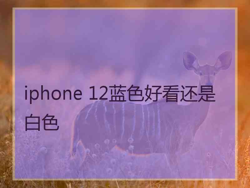 iphone 12蓝色好看还是白色