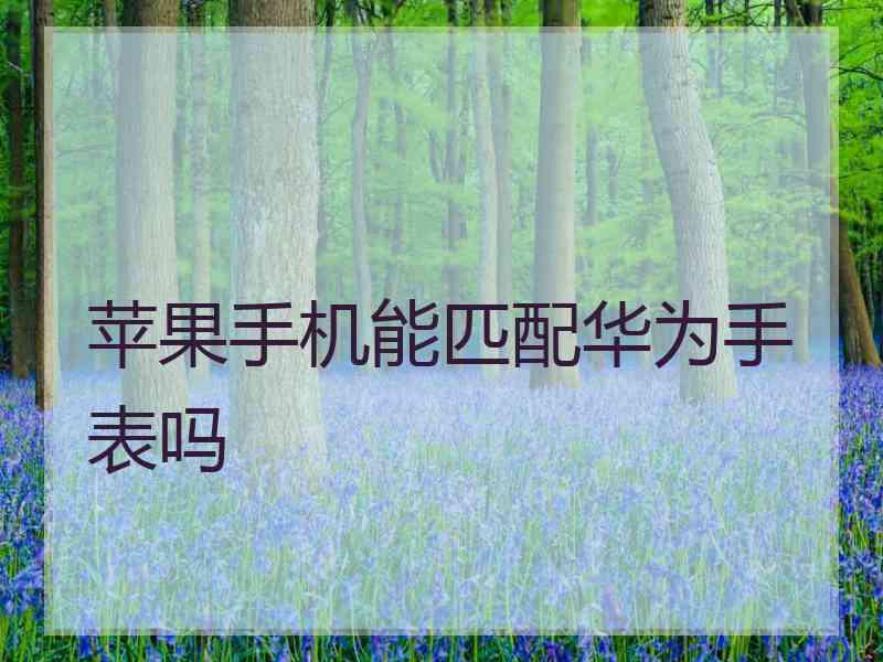 苹果手机能匹配华为手表吗