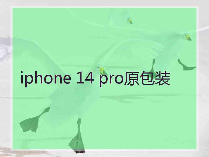 iphone 14 pro原包装