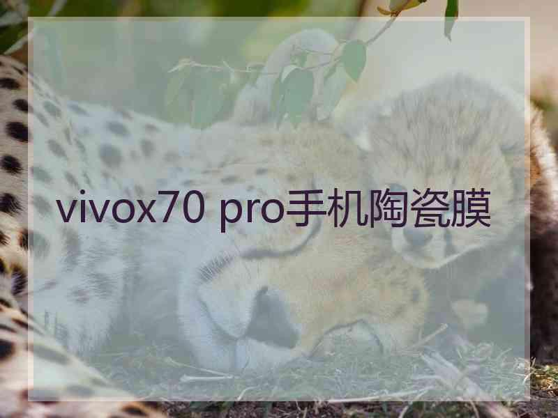 vivox70 pro手机陶瓷膜