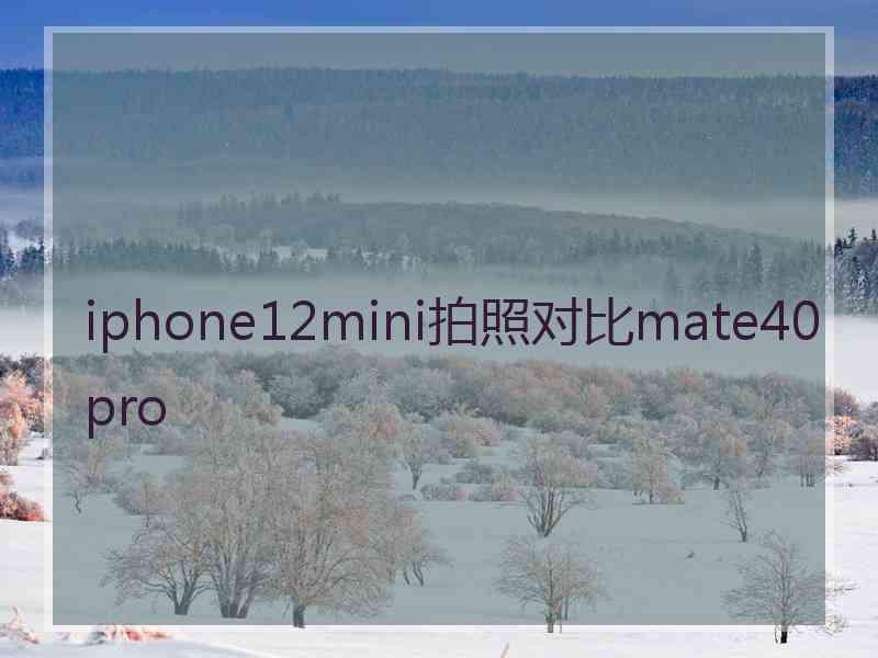 iphone12mini拍照对比mate40pro