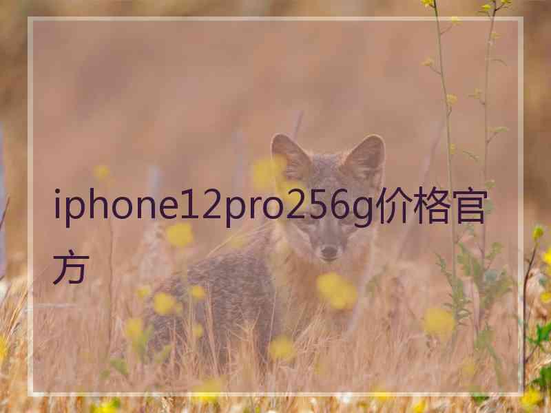 iphone12pro256g价格官方