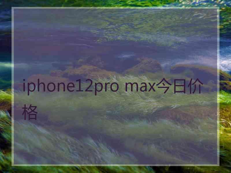 iphone12pro max今日价格