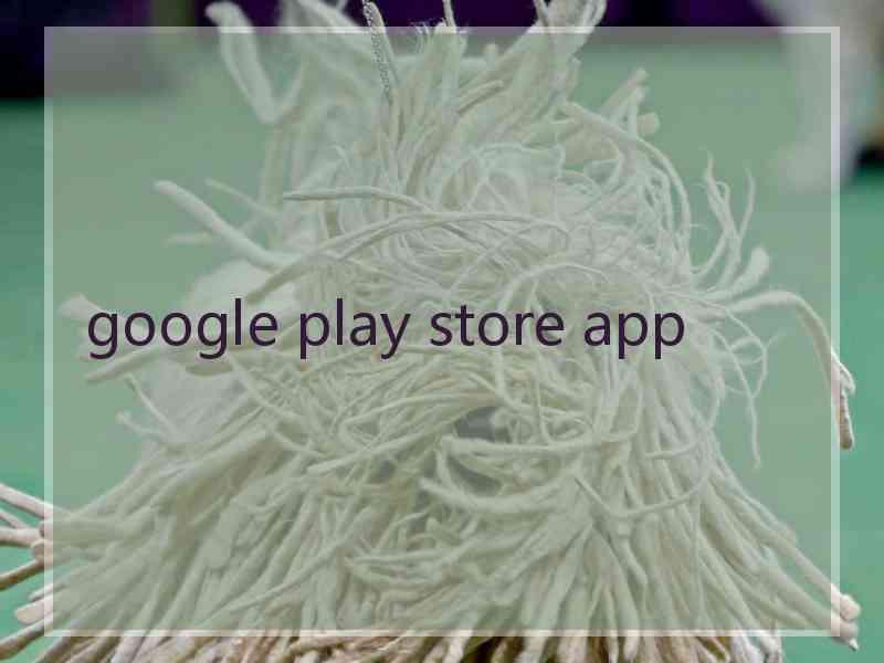 google play store app