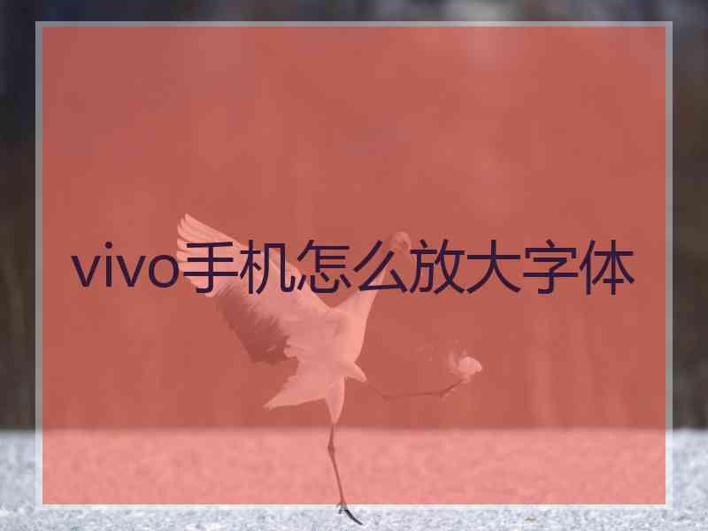 vivo手机怎么放大字体