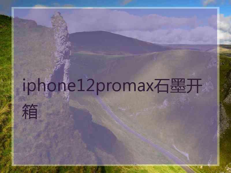 iphone12promax石墨开箱