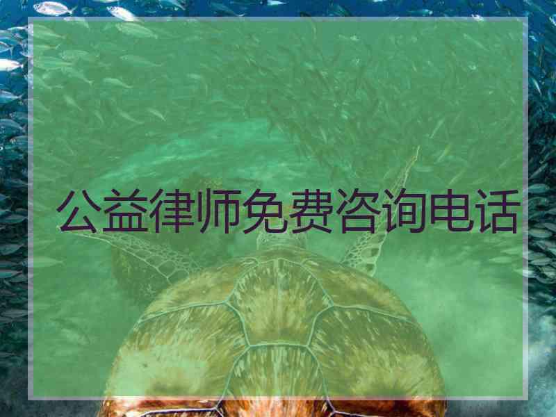 公益律师免费咨询电话