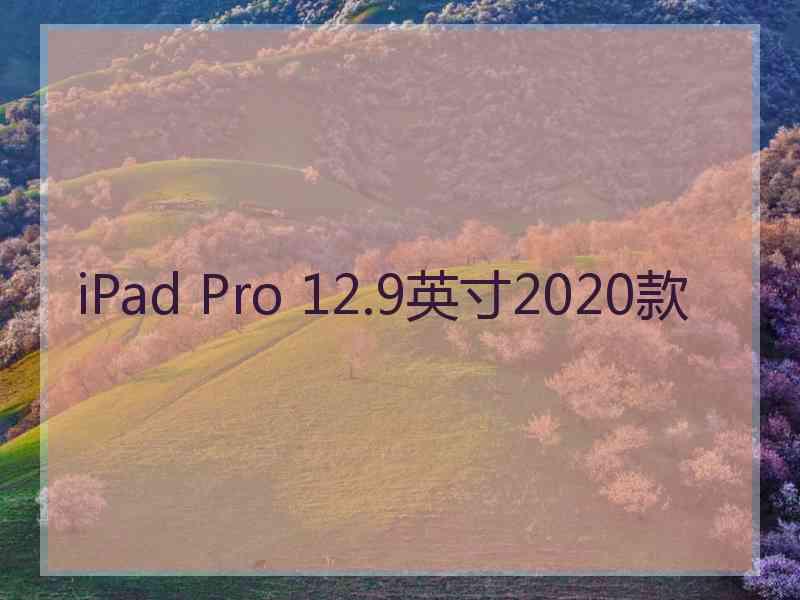 iPad Pro 12.9英寸2020款