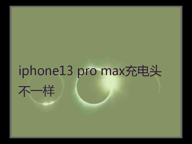 iphone13 pro max充电头不一样