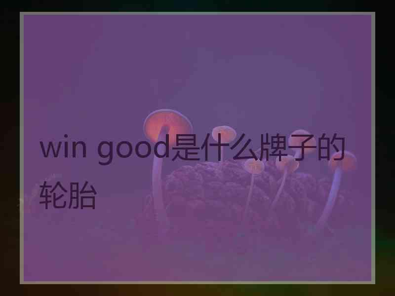 win good是什么牌子的轮胎