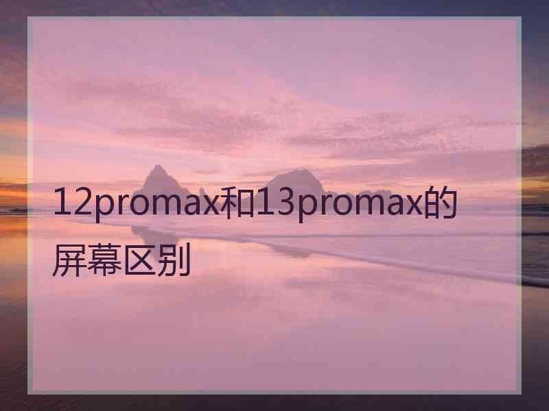 12promax和13promax的屏幕区别