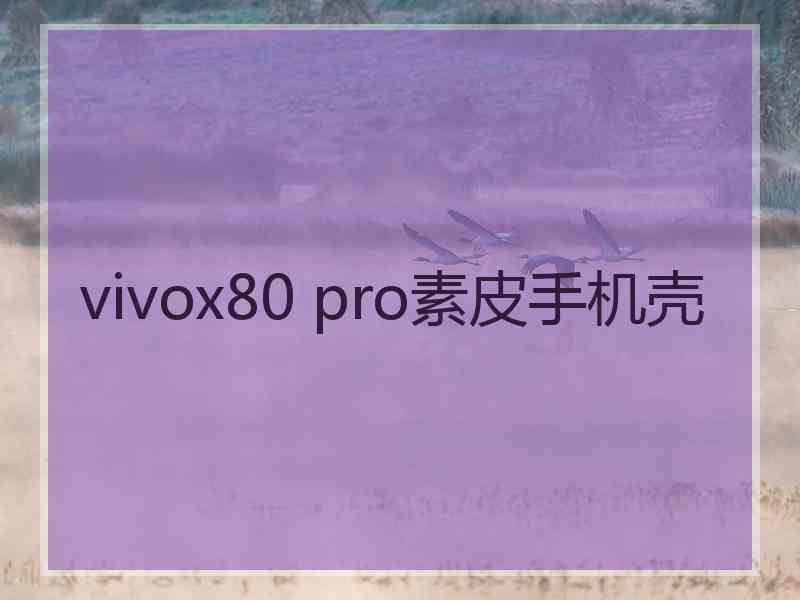 vivox80 pro素皮手机壳