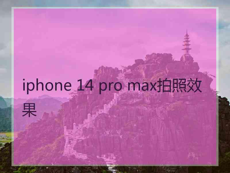 iphone 14 pro max拍照效果