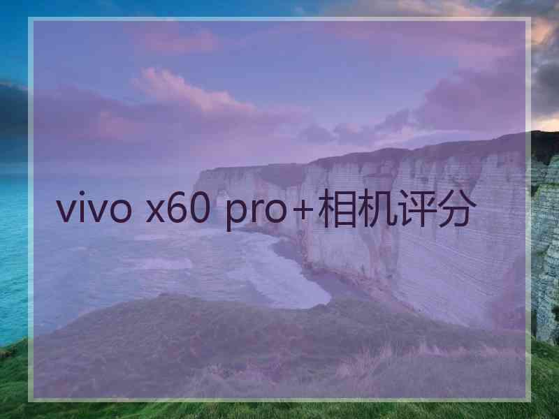 vivo x60 pro+相机评分