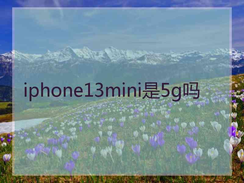 iphone13mini是5g吗