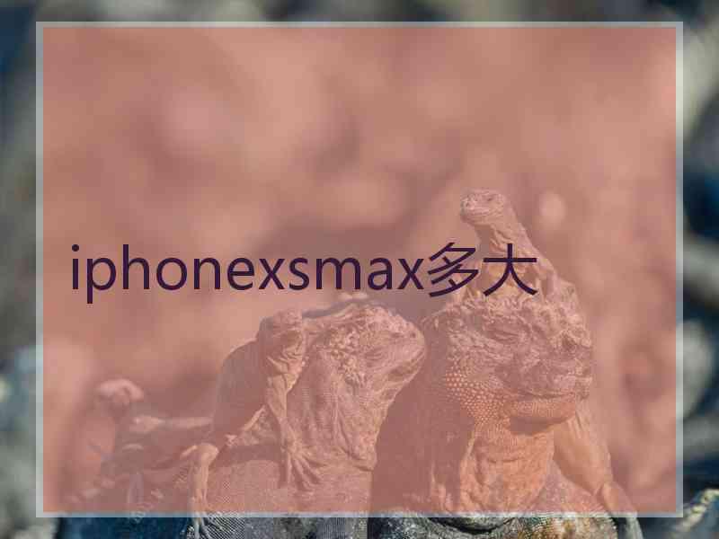 iphonexsmax多大