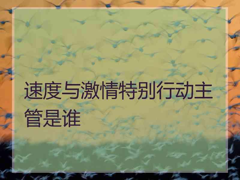 速度与激情特别行动主管是谁