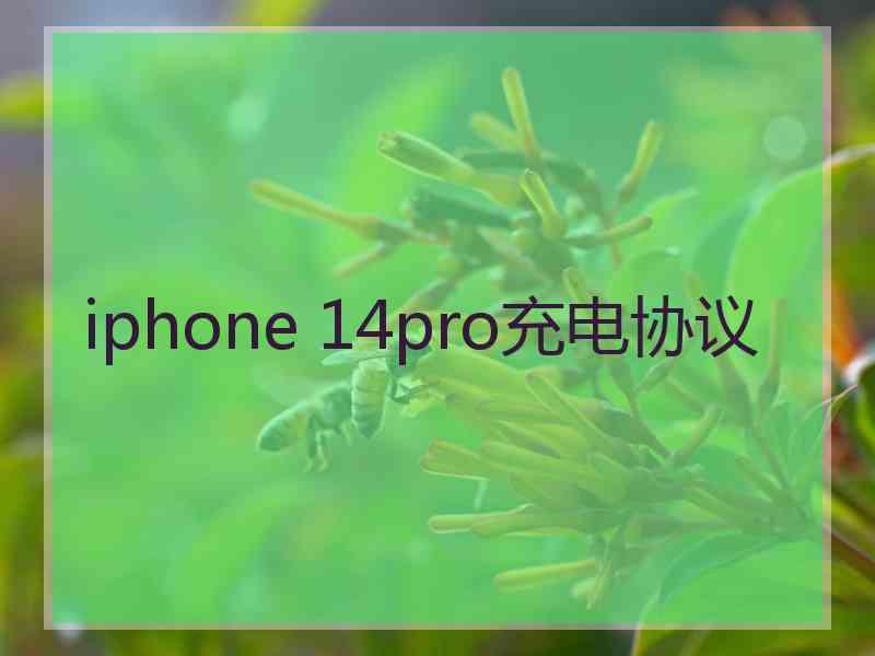 iphone 14pro充电协议