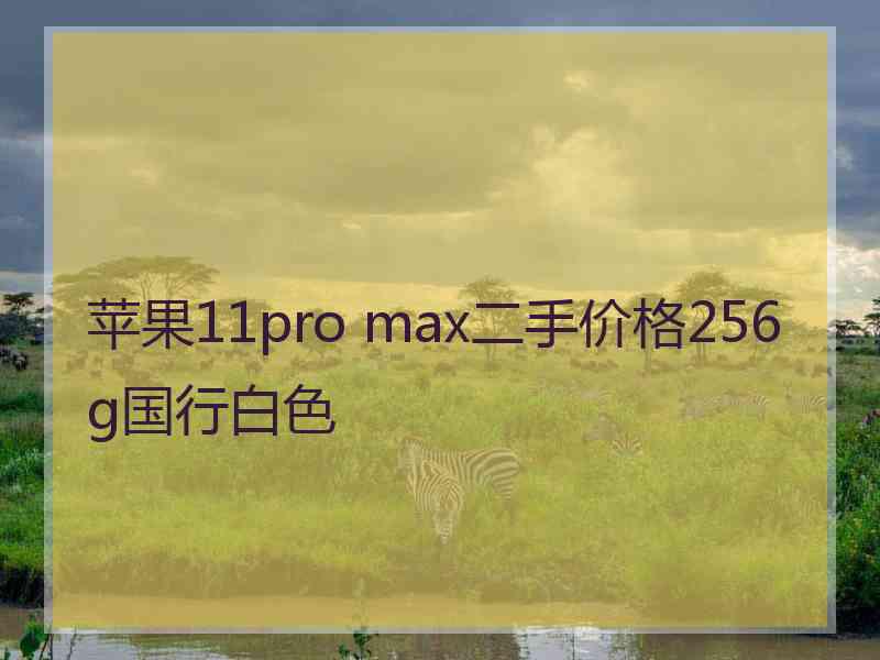 苹果11pro max二手价格256g国行白色