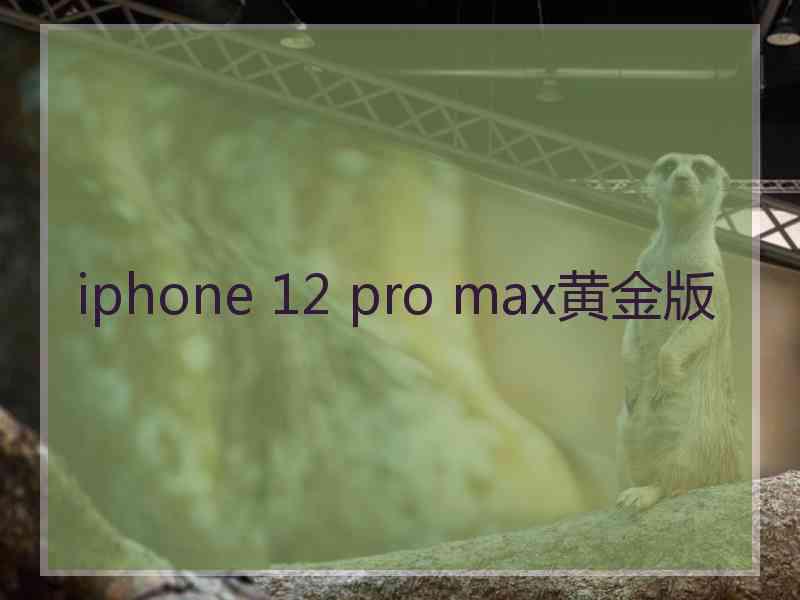 iphone 12 pro max黄金版