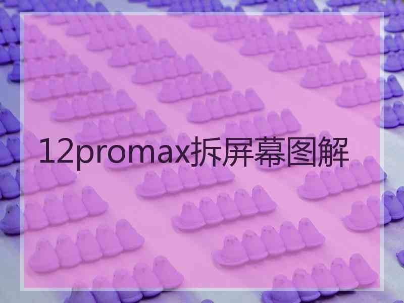 12promax拆屏幕图解