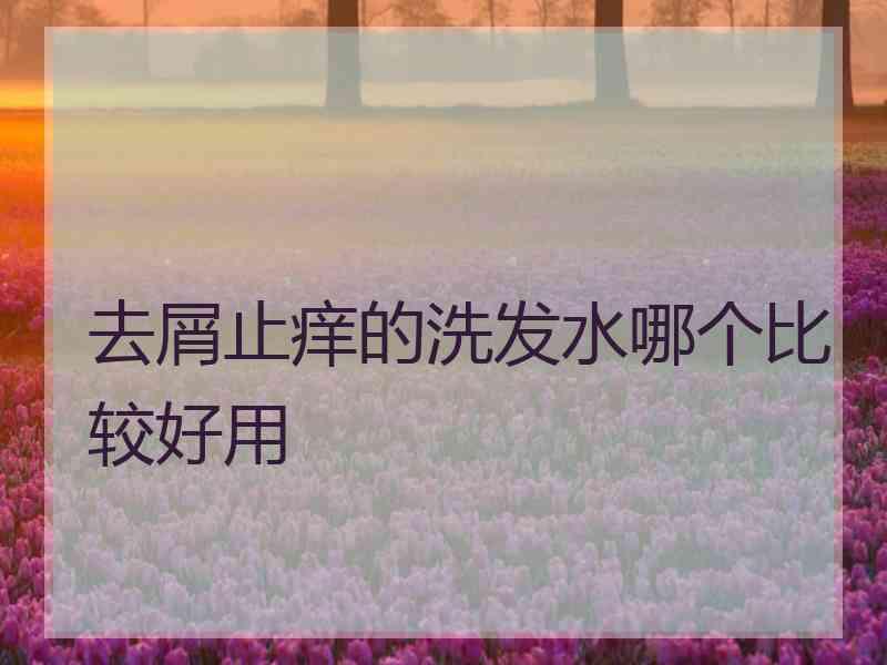 去屑止痒的洗发水哪个比较好用