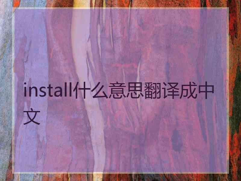 install什么意思翻译成中文