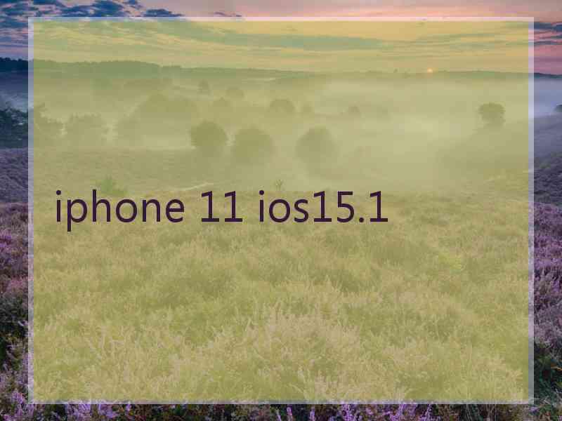 iphone 11 ios15.1