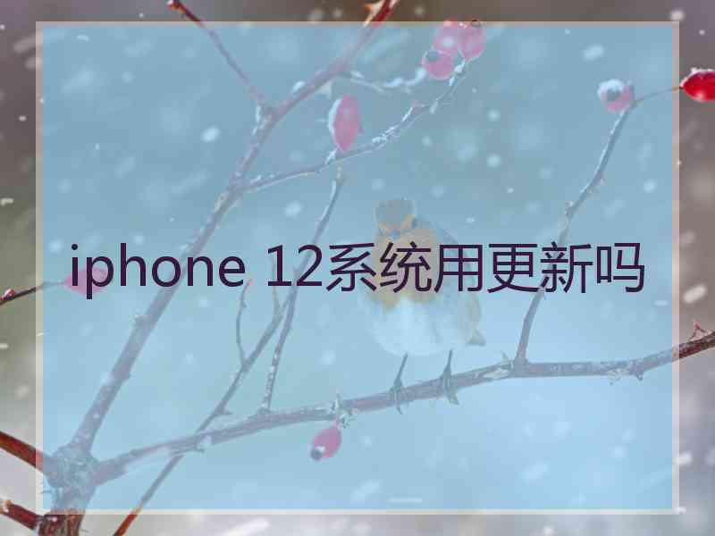 iphone 12系统用更新吗