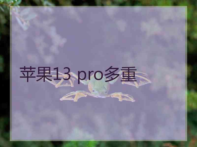 苹果13 pro多重