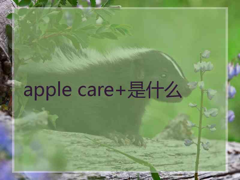 apple care+是什么