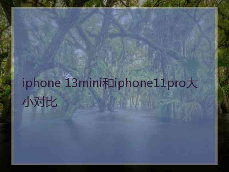 iphone 13mini和iphone11pro大小对比