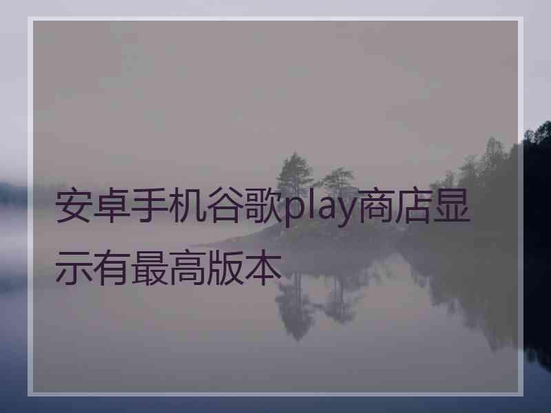 安卓手机谷歌play商店显示有最高版本